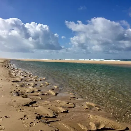 Bel En Bord De Mer Avec Piscine